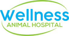 Wellness Animal Hospital