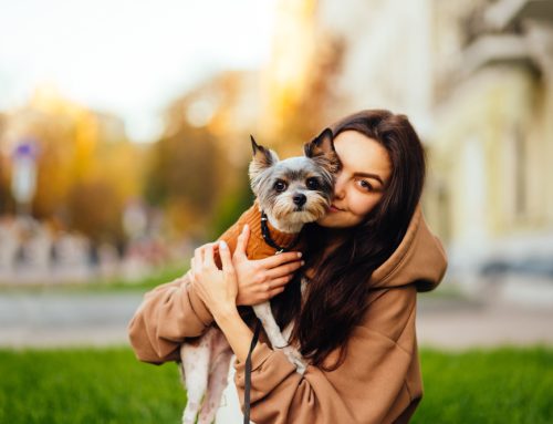 5 Simple Steps to Contribute to Your Pet’s Longevity