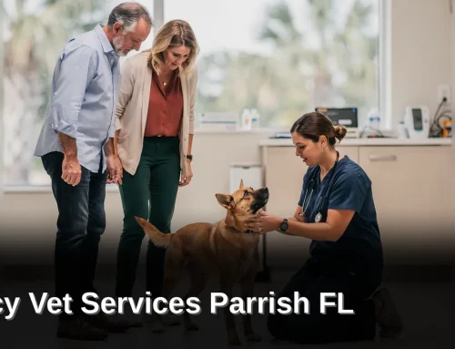 Emergency Vet Services: What To Know in Parrish, Florida